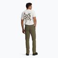 Pantaloni Royal Robbins Wilder everglade da uomo 3