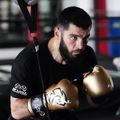 Guantoni da boxe Rival RS11V Evolution gold 6