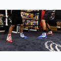 Scarpe da boxe Rival RSX-Prospect bianco/blu 7