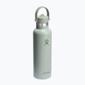 Hydro Flask Standard Flex Straw bottiglia termica 620 ml agave 2