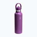 Borraccia termica Hydro Flask Standard Flex Straw 620 ml beachplum 2