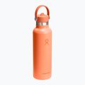 Borraccia termica Hydro Flask Standard Flex Straw 620 ml nettare 2