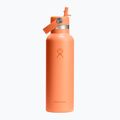 Borraccia termica Hydro Flask Standard Flex Straw 620 ml nettare