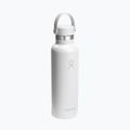 Borraccia termica Hydro Flask Standard Flex 621 ml white 2