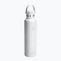 Borraccia termica Hydro Flask Standard Flex 710 ml white 2