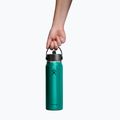 Borraccia termica Hydro Flask Lightweight Wide Flex Straw 946 ml emerald green 4
