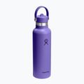Borraccia termica Hydro Flask Standard Flex 621 ml utopia purple 2