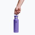Borraccia termica Hydro Flask Standard Flex 621 ml utopia purple 3