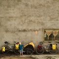 Burley Bee Rimorchio per biciclette doppio giallo 15