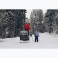 Set da sci per rimorchio Burley Ski Kit 4