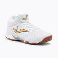 Scarpe da pallavolo da uomo Joma V.Block bianco