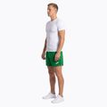 Pantaloncini da corsa Joma Record II da uomo, verde 4