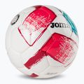 Joma Dali II fucsia taglia 4 calcio 2