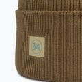 Berretto invernale BUFF Crossknit ginkgo 2