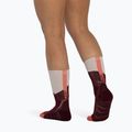 Calze BUFF Midweight Crew wine 5