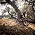 Marin Bobcat Trail 5 29 nero lucido/arancio/argento mountain bike 3