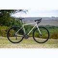 Marin Nicasio 1 gravel bike 700C grigio osso 3