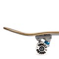 Trucchi skateboard classici Rose Complete 5