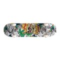 Trucchi classici dello skateboard LSD Completo
