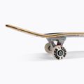 Trucchi classici dello skateboard LSD Completo 5
