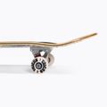Trucchi classici dello skateboard LSD Completo 6