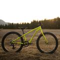 Orbea MX 20 Team 2022 bicicletta da bambino lime/watermelon 6