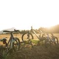 Orbea MX 20 Team 2022 bicicletta da bambino lime/watermelon 8