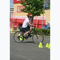 Cuscinetto per casco COOLCASC Lion 9