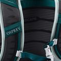 Zaino da trekking Osprey Poco LT, alzavola profonda 13