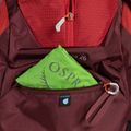 Zaino da trekking da uomo Osprey Stratos 26 l poinsettia red 6