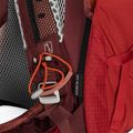 Zaino da trekking da uomo Osprey Stratos 26 l poinsettia red 8
