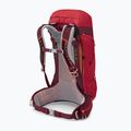 Zaino da trekking da uomo Osprey Stratos 26 l poinsettia red 13