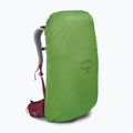 Zaino da trekking da uomo Osprey Stratos 26 l poinsettia red 14
