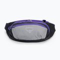 Osprey Daylite Waist kidney pouch grigio medio/carbone scuro 3