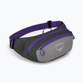 Osprey Daylite Waist kidney pouch grigio medio/carbone scuro 8