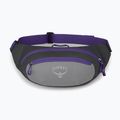 Osprey Daylite Waist kidney pouch grigio medio/carbone scuro 9