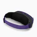 Osprey Daylite Waist kidney pouch grigio medio/carbone scuro 10