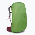 Osprey Stratos 44 l zaino da trekking da uomo rosso poinsettia 8