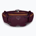 Custodia per bicicletta Osprey Savu 5 aprium viola
