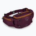 Custodia per bicicletta Osprey Savu 5 aprium viola 2