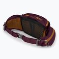 Custodia per bicicletta Osprey Savu 5 aprium viola 4