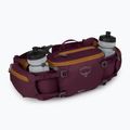 Custodia per bicicletta Osprey Savu 5 aprium viola 5