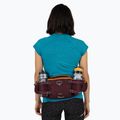 Custodia per bicicletta Osprey Savu 5 aprium viola 15
