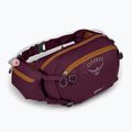 rene ciclistico Osprey Seral 7 l con serbatoio da 1,5 l aprium viola 2