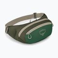 Marsupio Osprey Daylite Waist verde canopy/verde creek 2