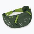 Osprey Duro Dyna 2 l alga verde/limone sacca renale 2