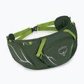 Osprey Duro Dyna 2 l alga verde/limone sacca renale 2