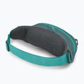 Osprey Daylite Waist kidney pouch blu jetstream/blu cascata 3