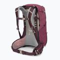 Zaino da escursionismo Osprey Sirrus 24 l da donna in sambuco viola / chiru tan 2
