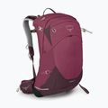 Zaino da escursionismo Osprey Sirrus 24 l da donna in sambuco viola / chiru tan 3